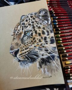 Pastel drawing of a leopard